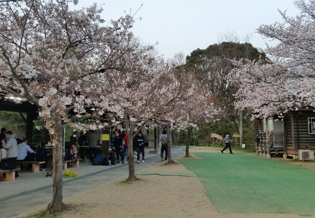 Yawata Municipal Park Otokoyama Recreation Center景点图片