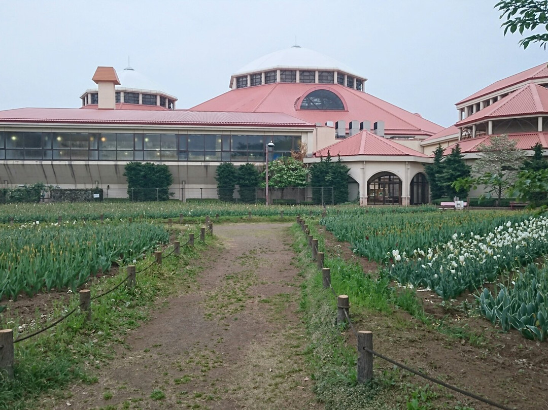 深谷市旅游景点-Aqua Paradise Patio
