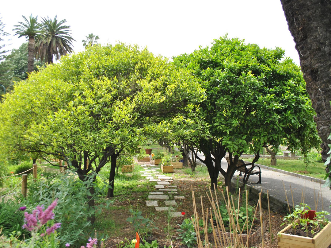 Jardin du Palais Carnolès