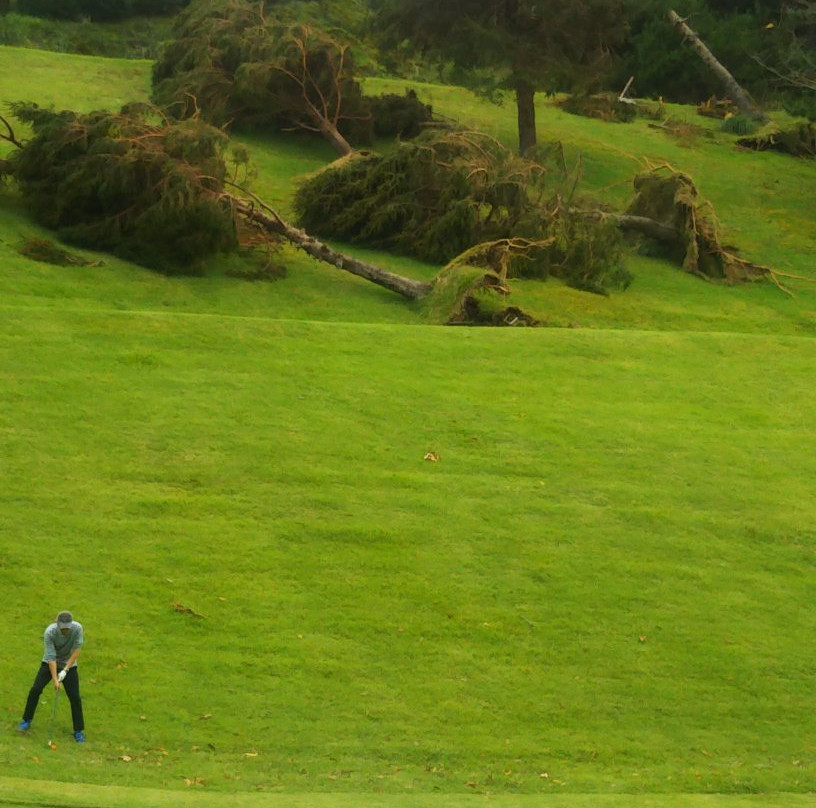 Ito Country Club-伊东市必去景点