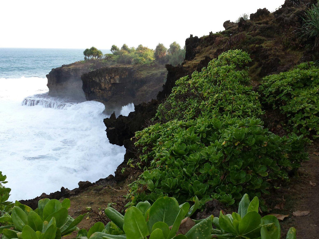 Pangandaran National Park景点图片