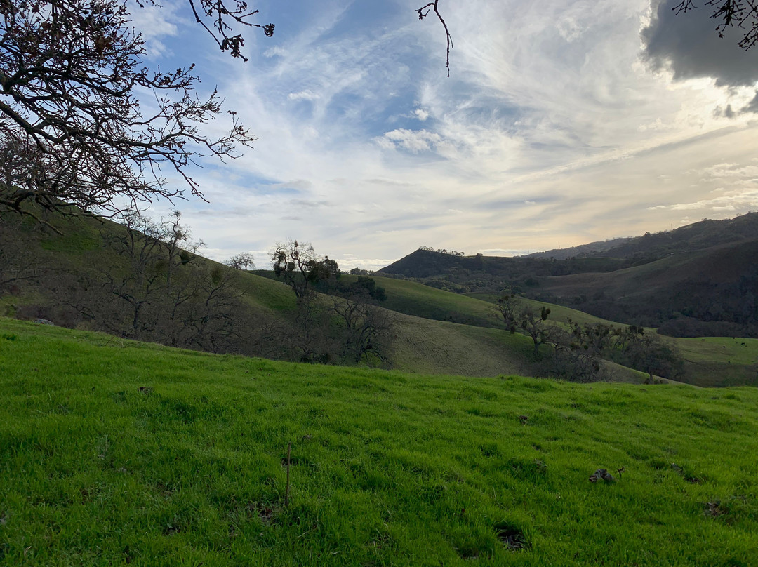 Sunol Regional Wilderness
