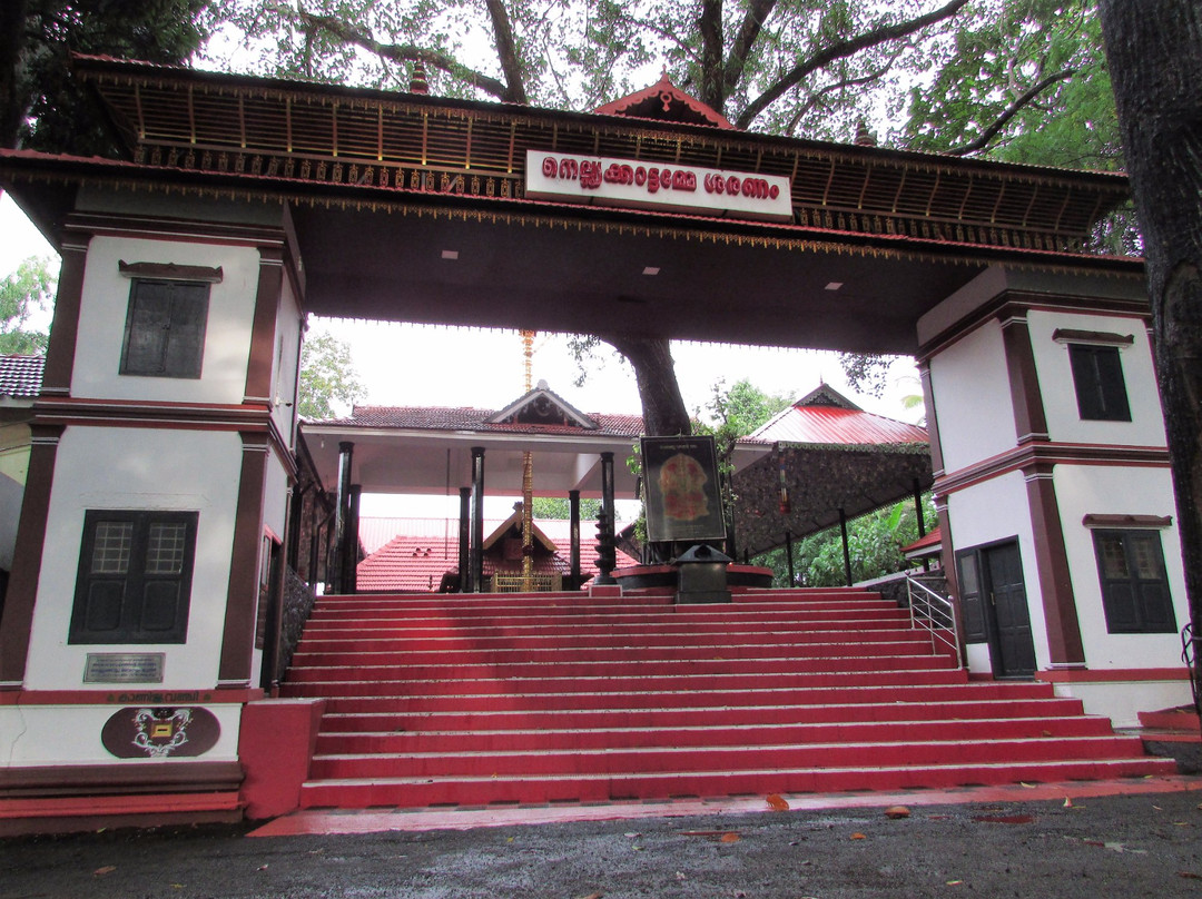 Sri Nellikattu Bagavathi temple景点图片