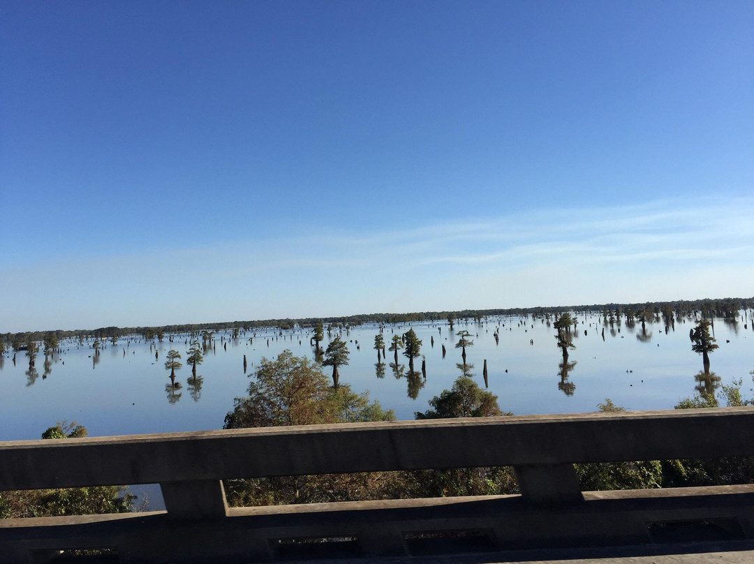 Atchafalaya Basin Bridge景点图片