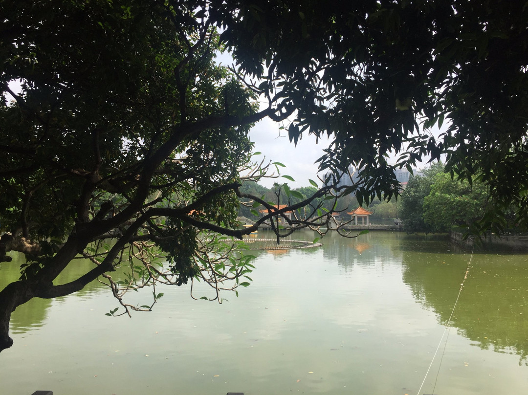 逸仙湖公园景点图片