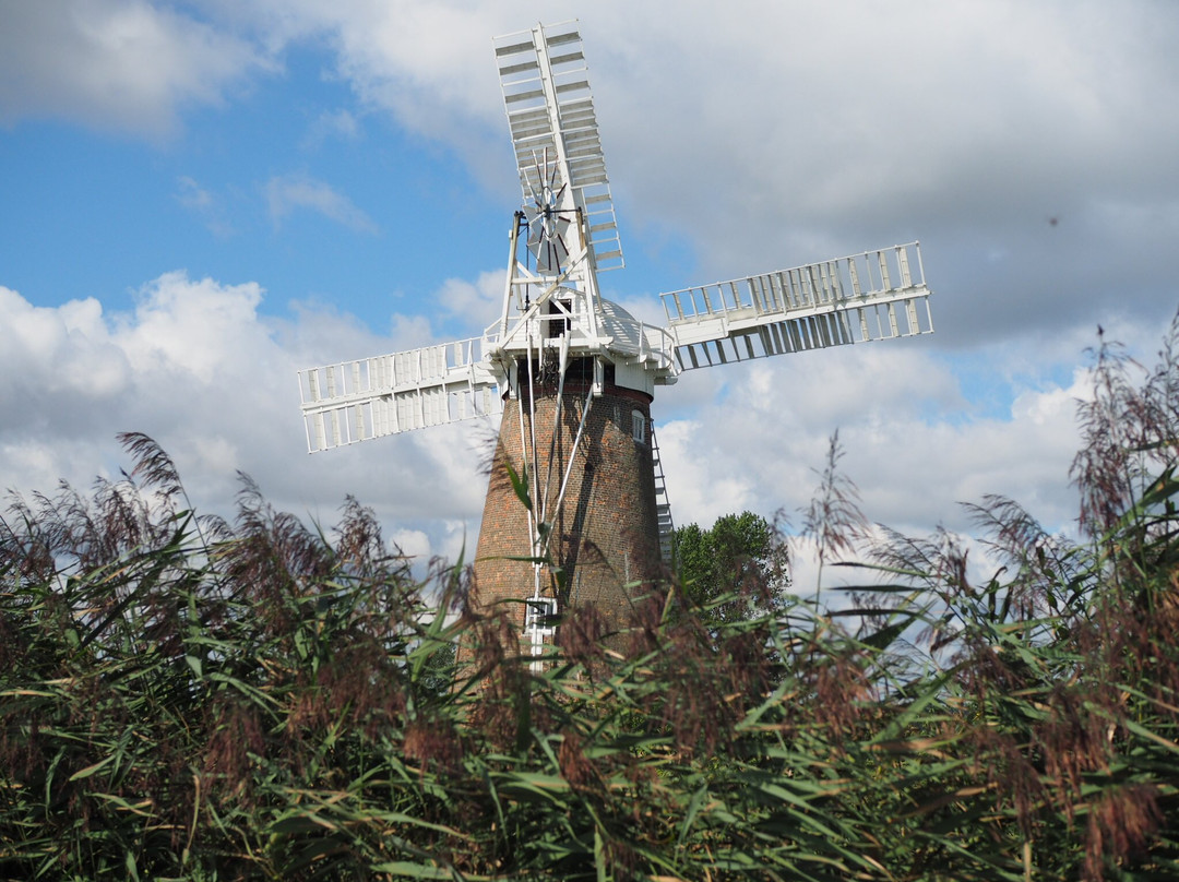 Hardley Windmill景点图片