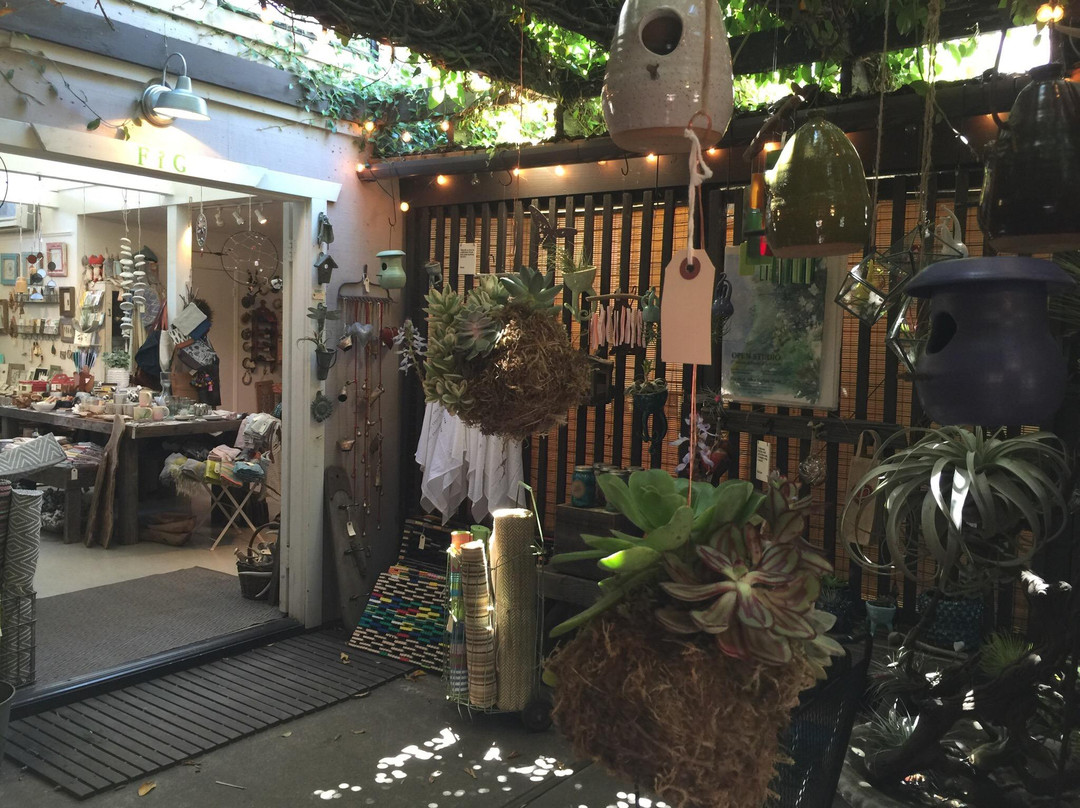 FiG Curated Living-奥海必去景点