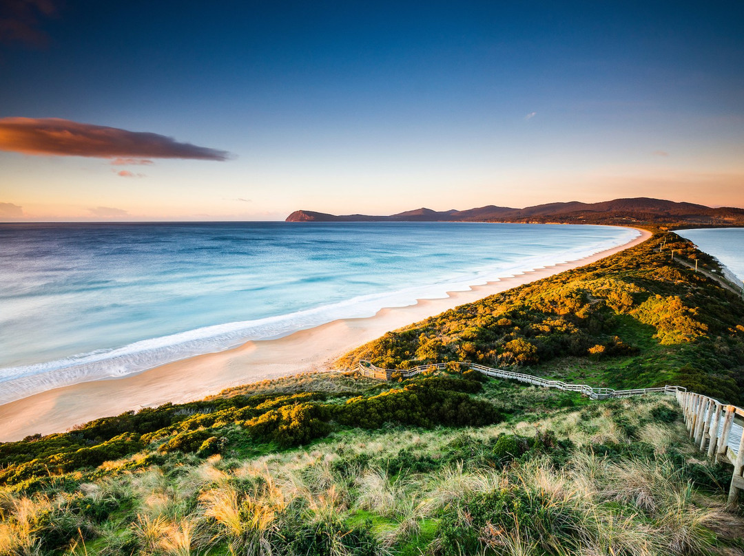 Tassie Tours Tasmania景点图片