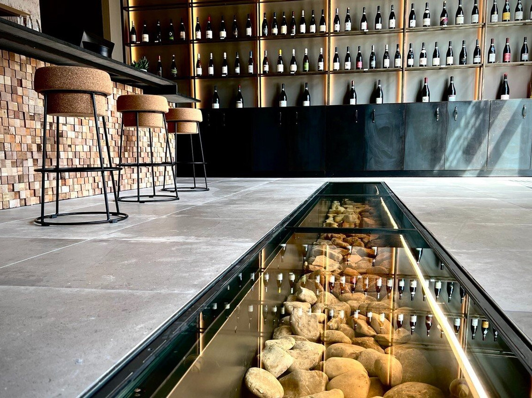 Caveau du Cairanne et Musée de la Romanité