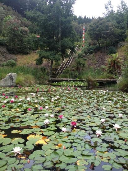 The Sculpture Park-汉密尔顿必去景点