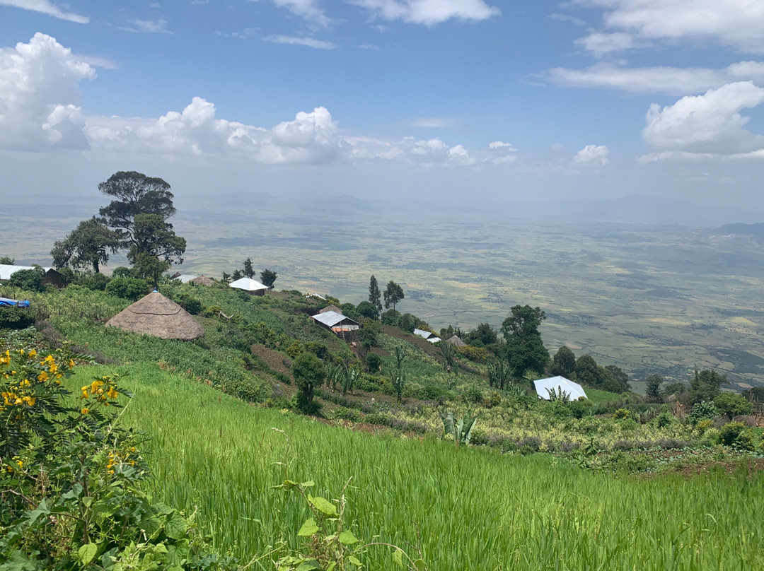 Adefa Tours Ethiopia-亚的斯亚贝巴必去景点