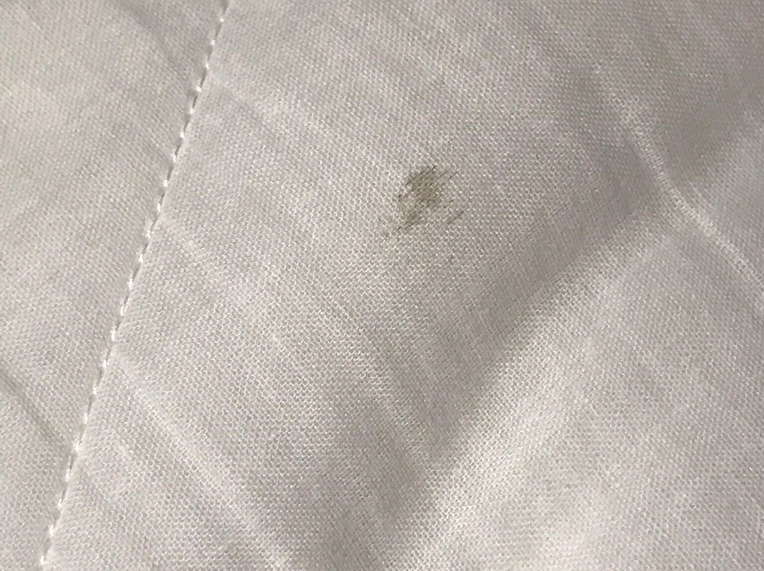 Tru by Hilton Goodyear Phoenix West主图