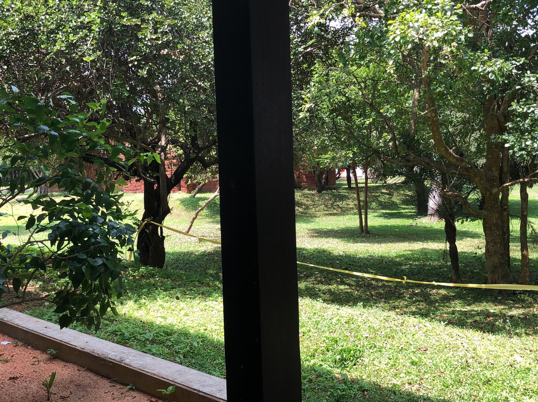 Sigiriya Jungles主图