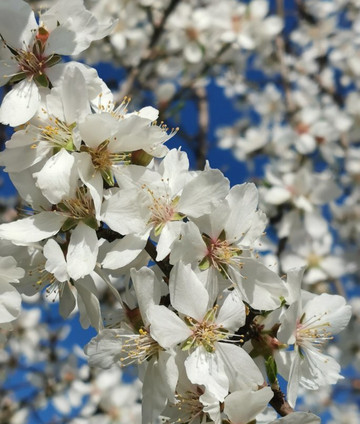 Ermita del Cerrillo-Galapagar必去景点