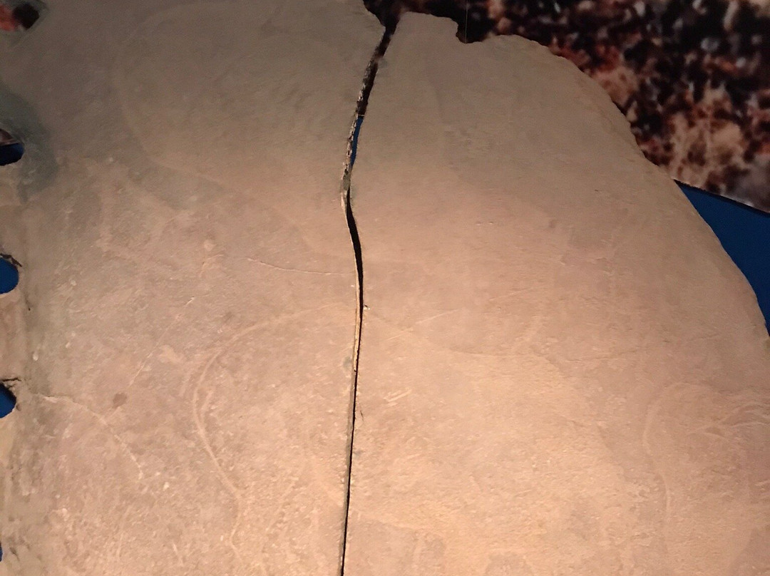 McGregor Museum-金伯利必去景点