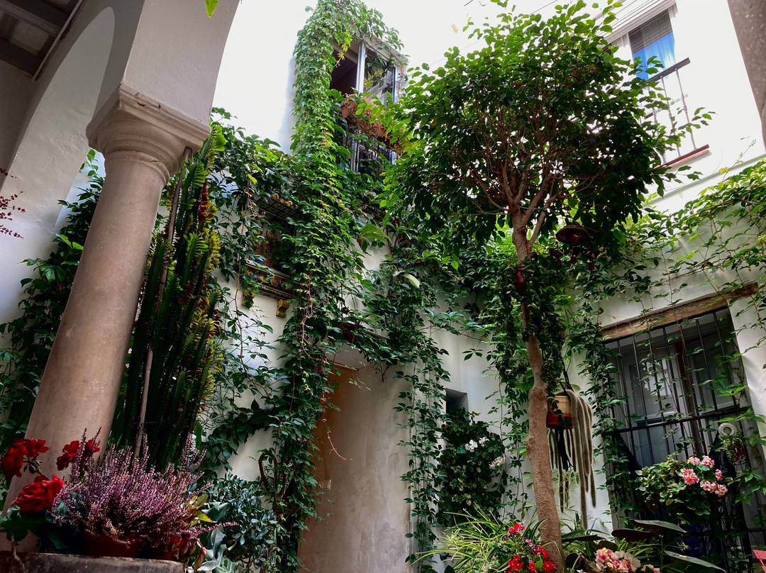 Valdelagrana酒店住宿-Casa de Huespedes Santa Maria