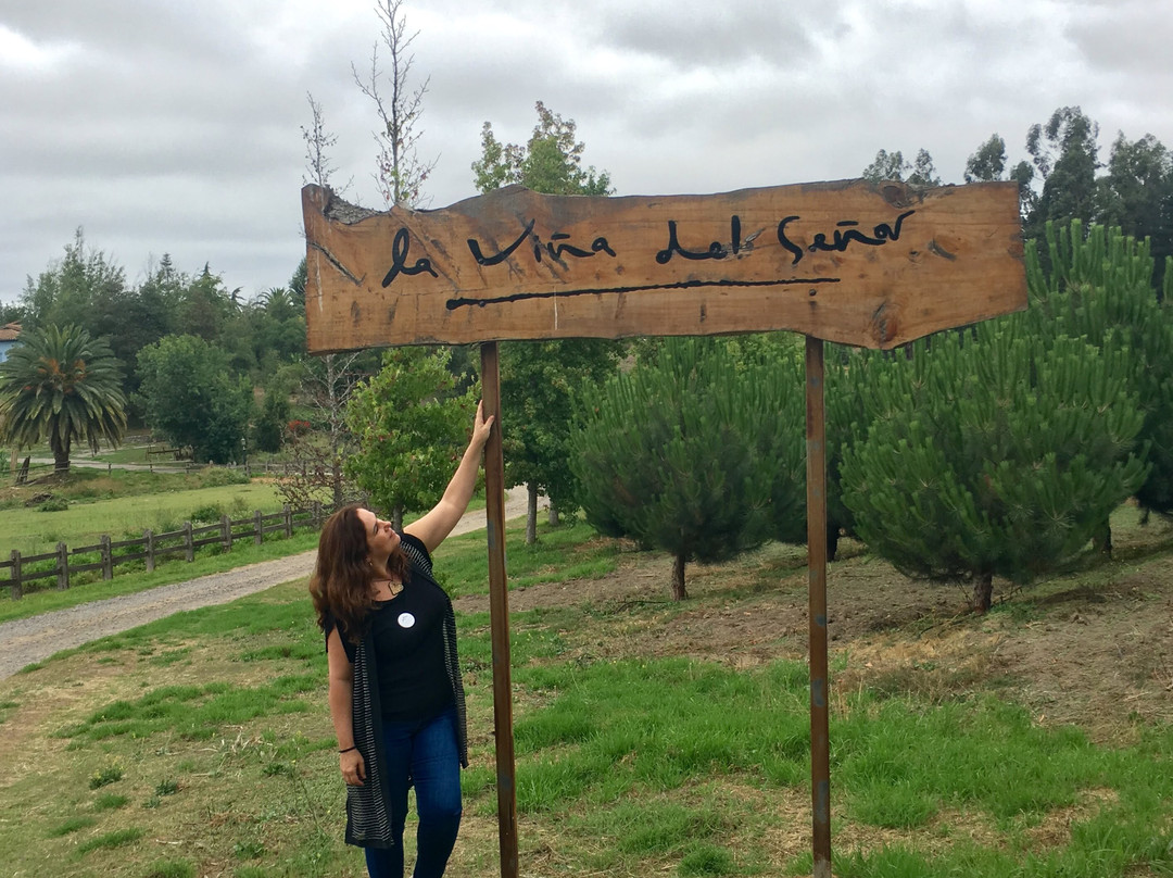 LA VIÑA DEL SEÑOR-Melipilla必去景点