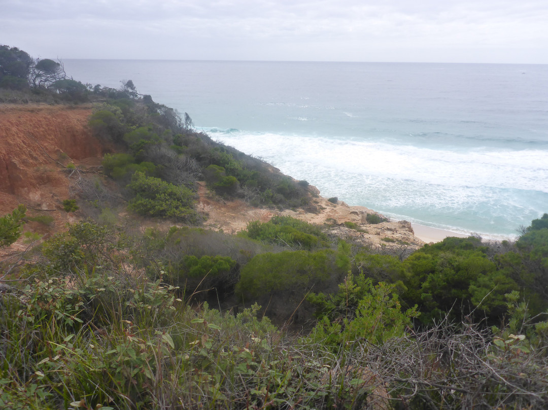 Ben Boyd National Park-伊登港必去景点