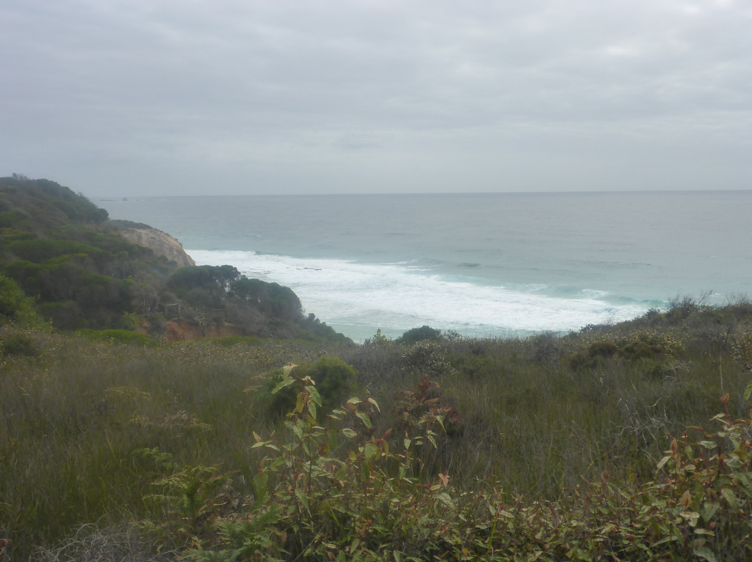 Ben Boyd National Park-伊登港必去景点