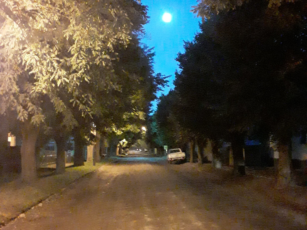Villa Arcadia景点图片