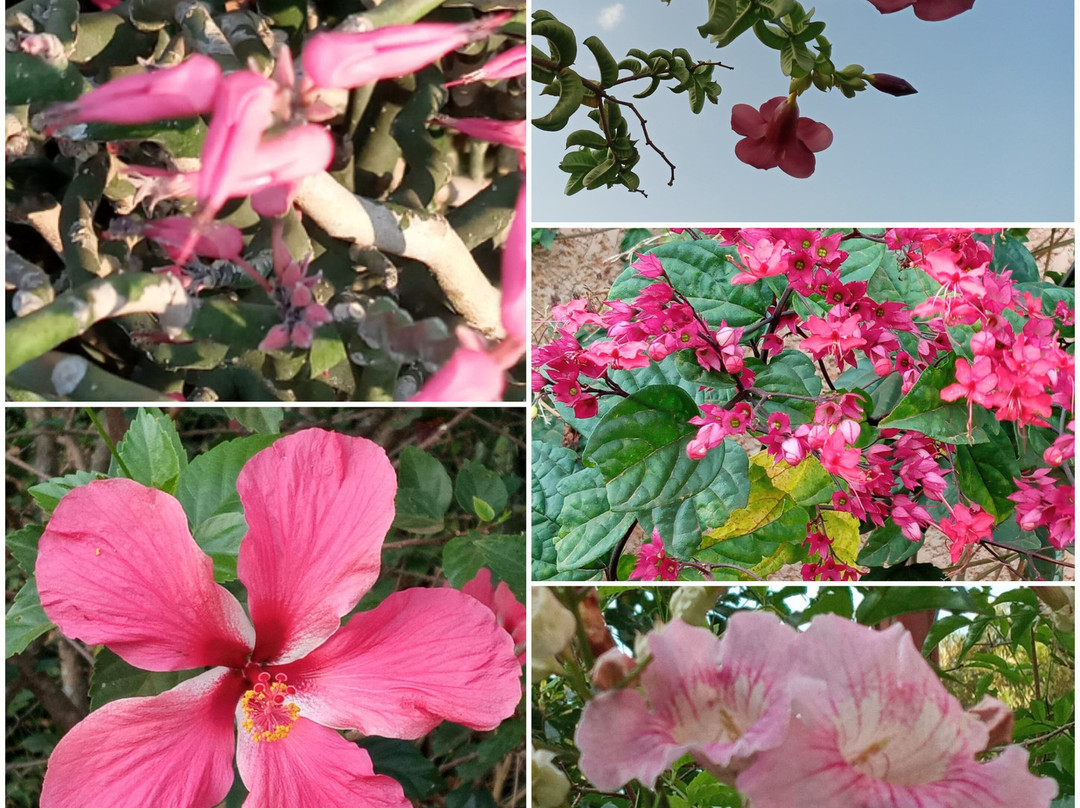 布格塞拉小屋酒店主图