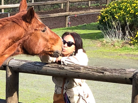 Meadowlark Country House & Resort主图