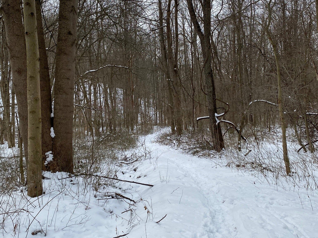 Butler's Trail-Cuyahoga Falls必去景点