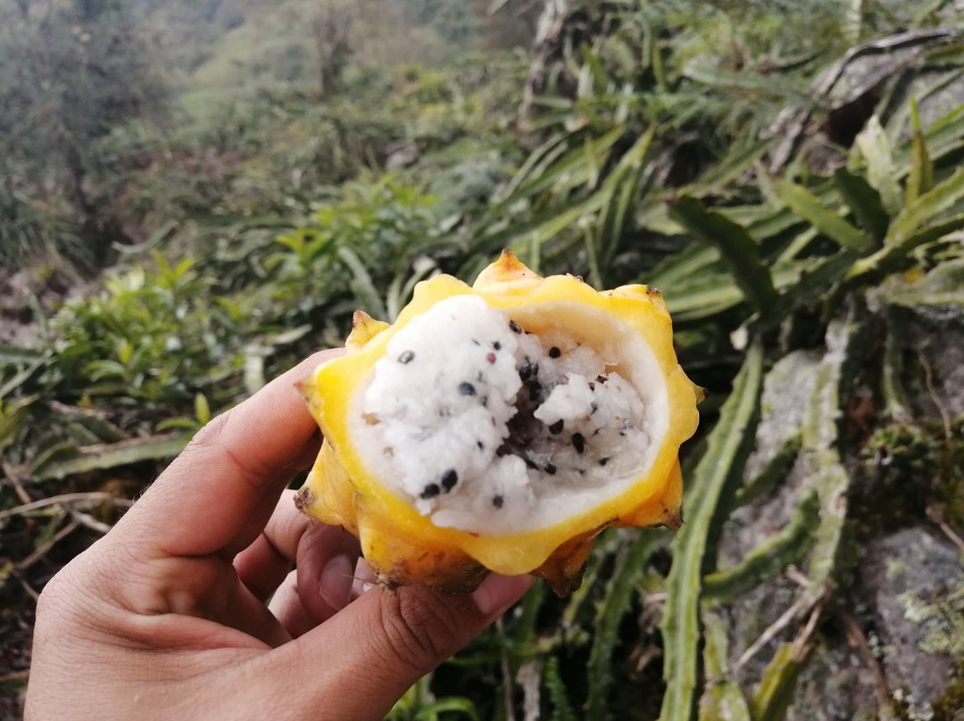 Cascada Las Tinajas-Zetaquira必去景点