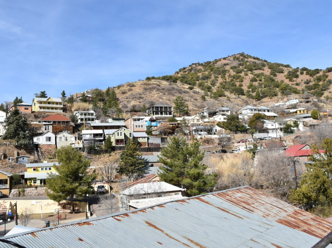 Lavender Jeep Tours - Private Tours-比斯比必去景点