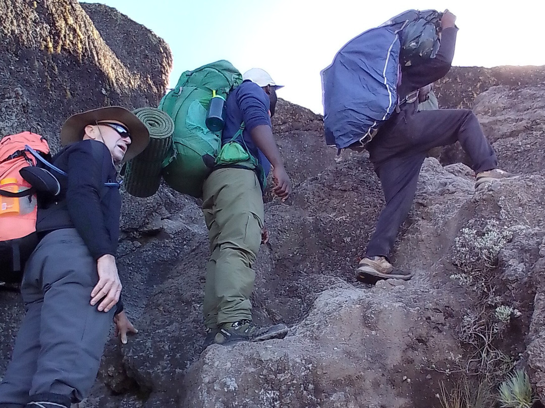 Climb Mount Kilimanjaro – #1 Kilimanjaro Tours for 2025 & 2026-莫西必去景点