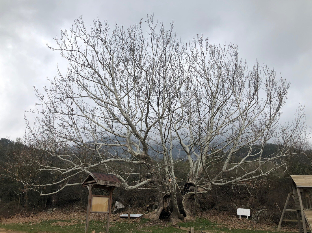 Lake Kovada National Park-Egirdir必去景点