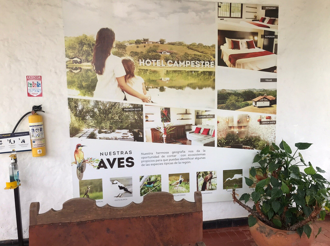 Lagogrande Hotel主图