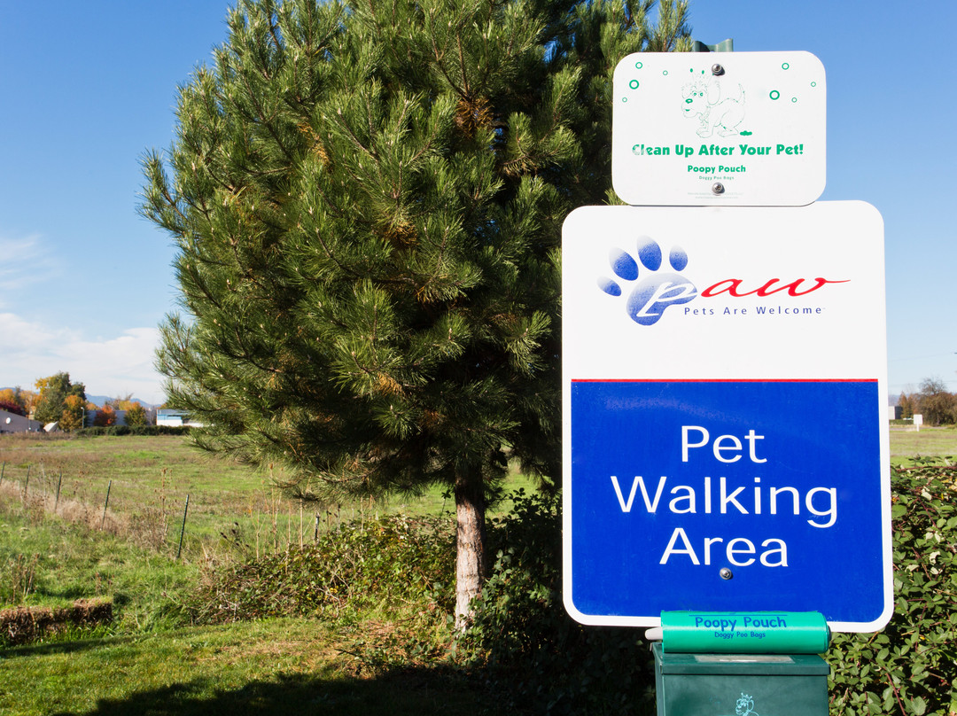 梅德福烛木套房酒店主图