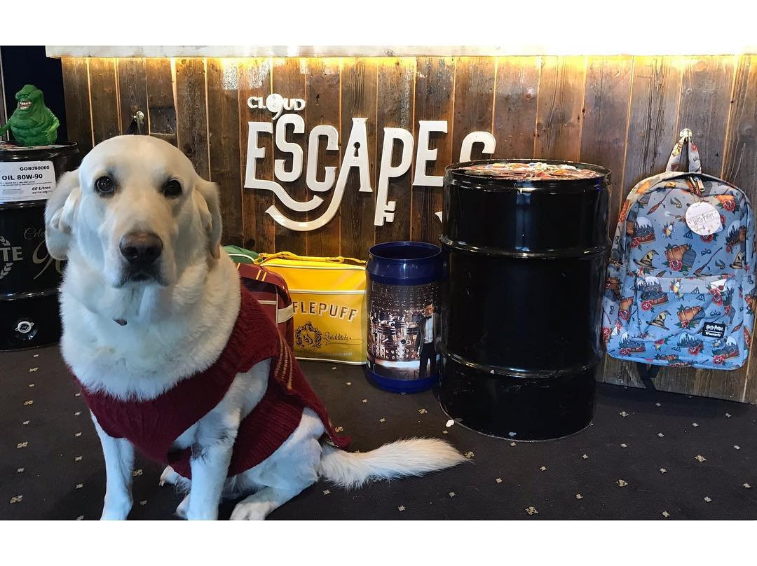 Porepunkah旅游景点-Cloud9 Escape Rooms Bright