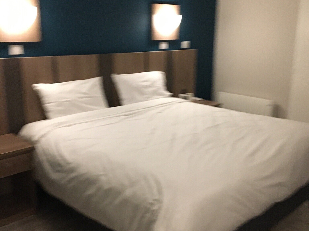 Logis Hôtel le Grand Turc主图