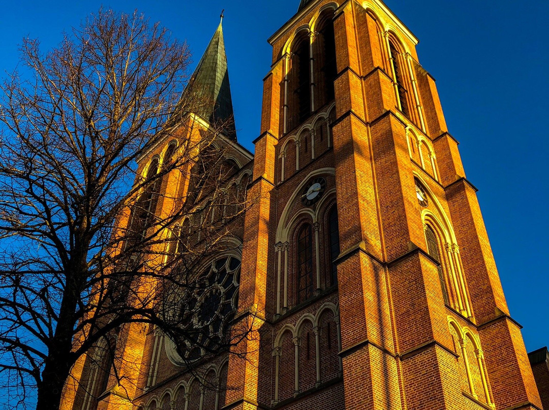 Herz. Jesu Kirche景点图片