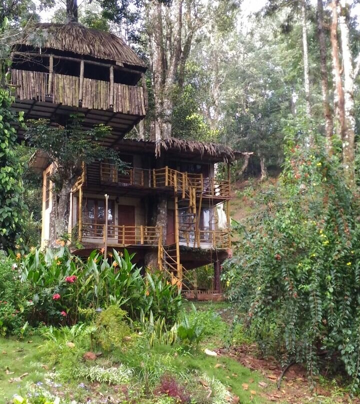 Jungle Jive Tree House Munnar主图