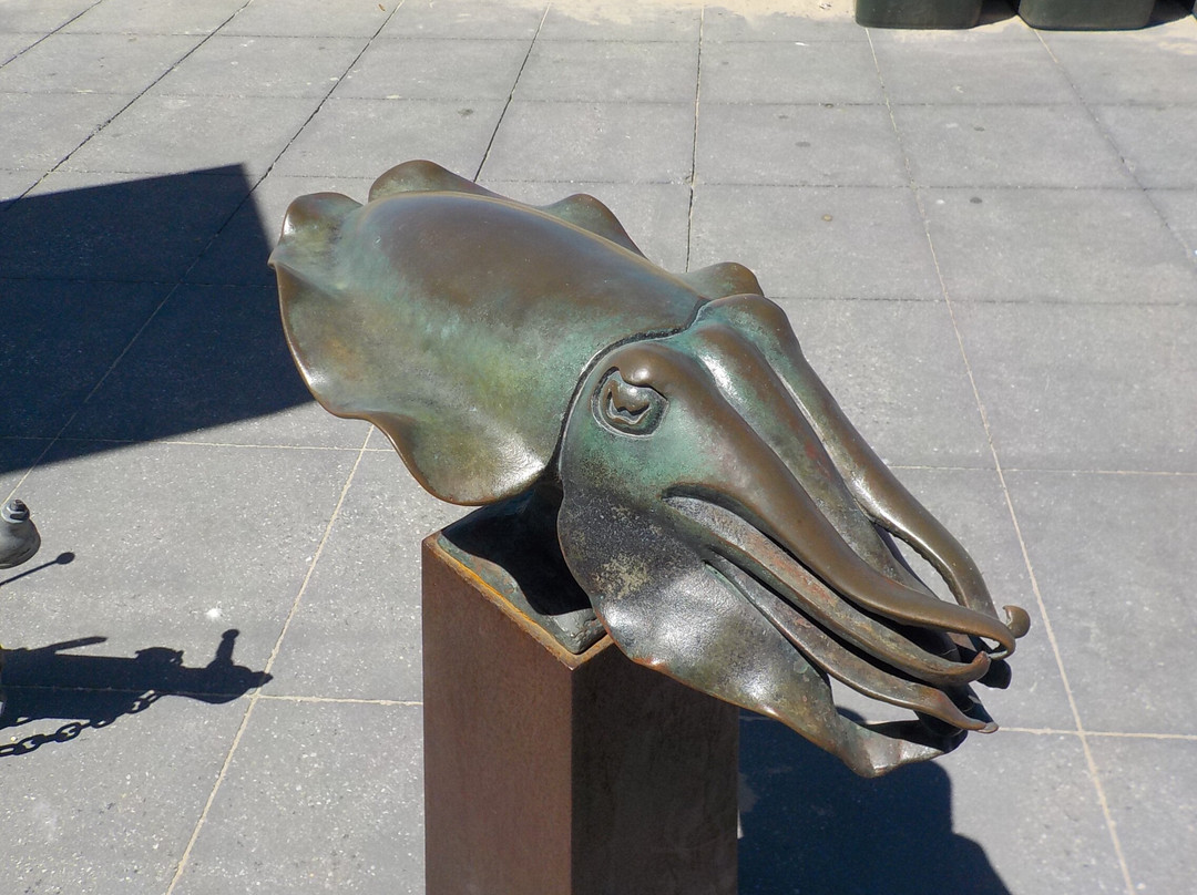 Altona Beach景点图片