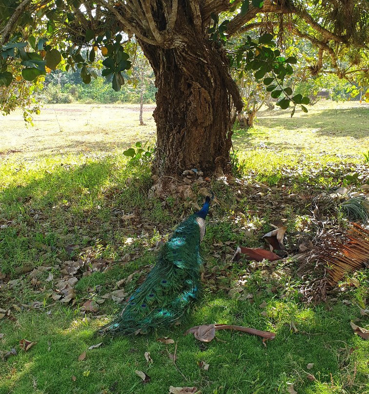 Villa Pinares de Mayari主图