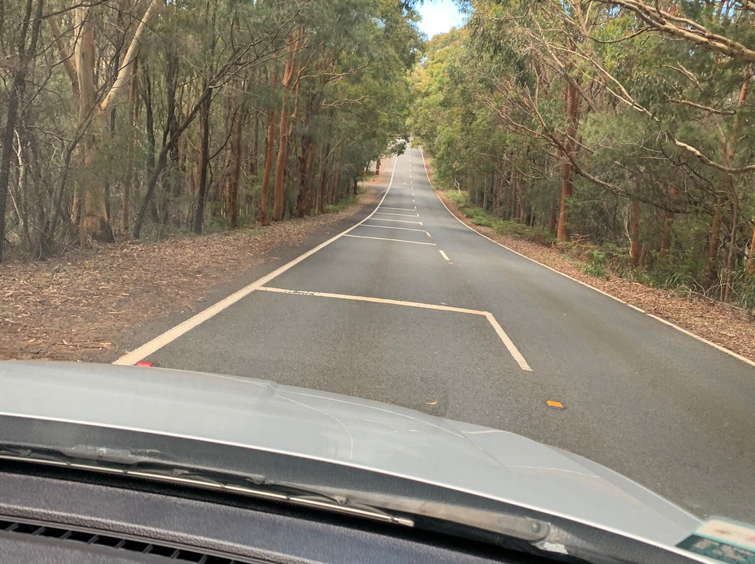 Garie Beach-Royal National Park必去景点