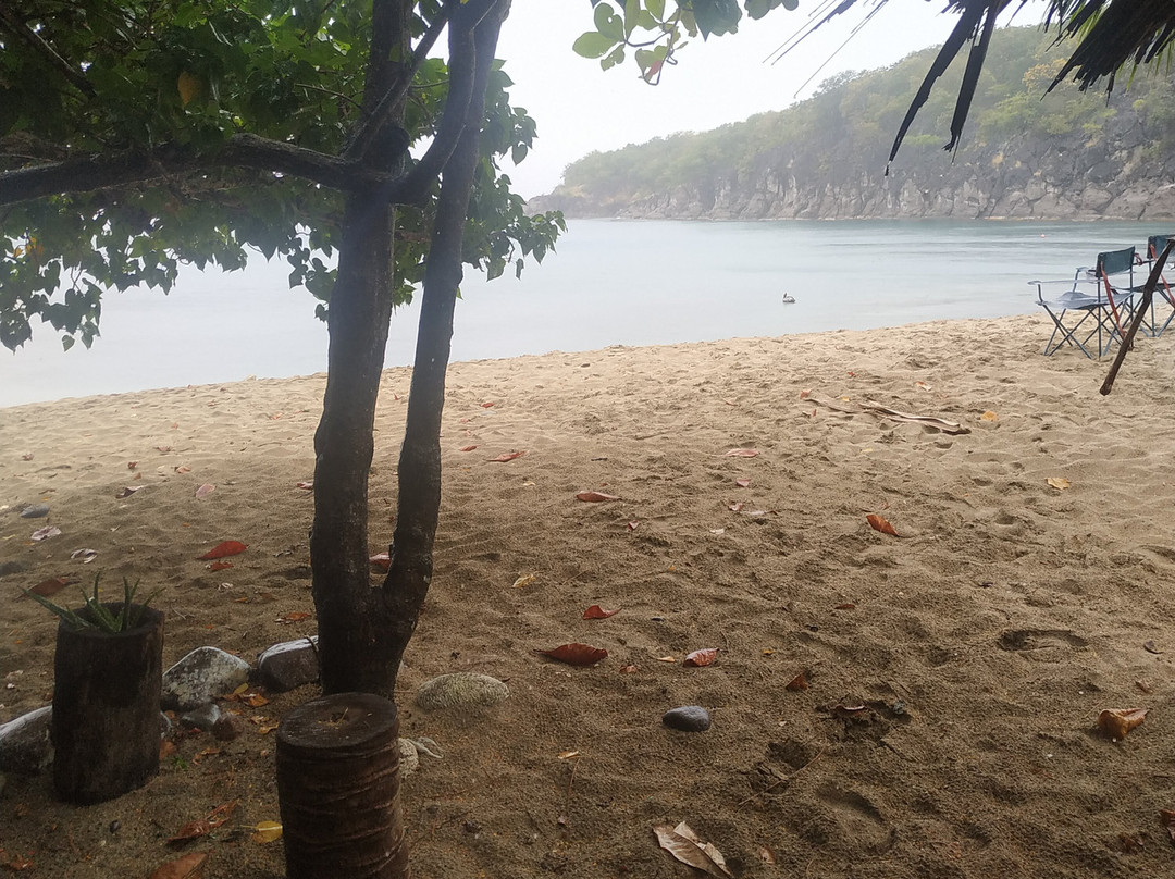 Plage de Petite Anse-Bouillante必去景点