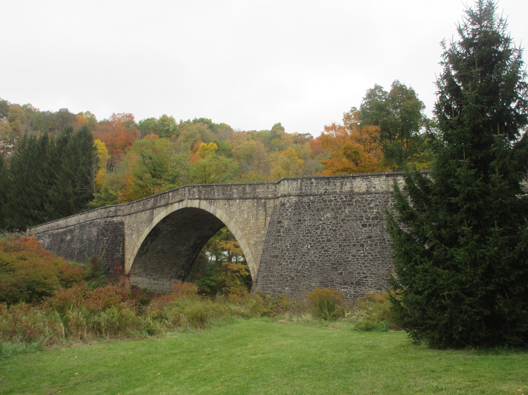 Casselman River Bridge State Park景点图片