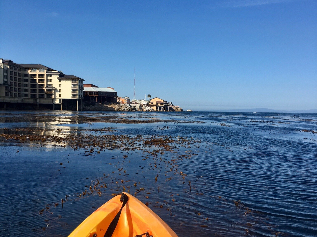 Adventures by the Sea-蒙特雷必去景点