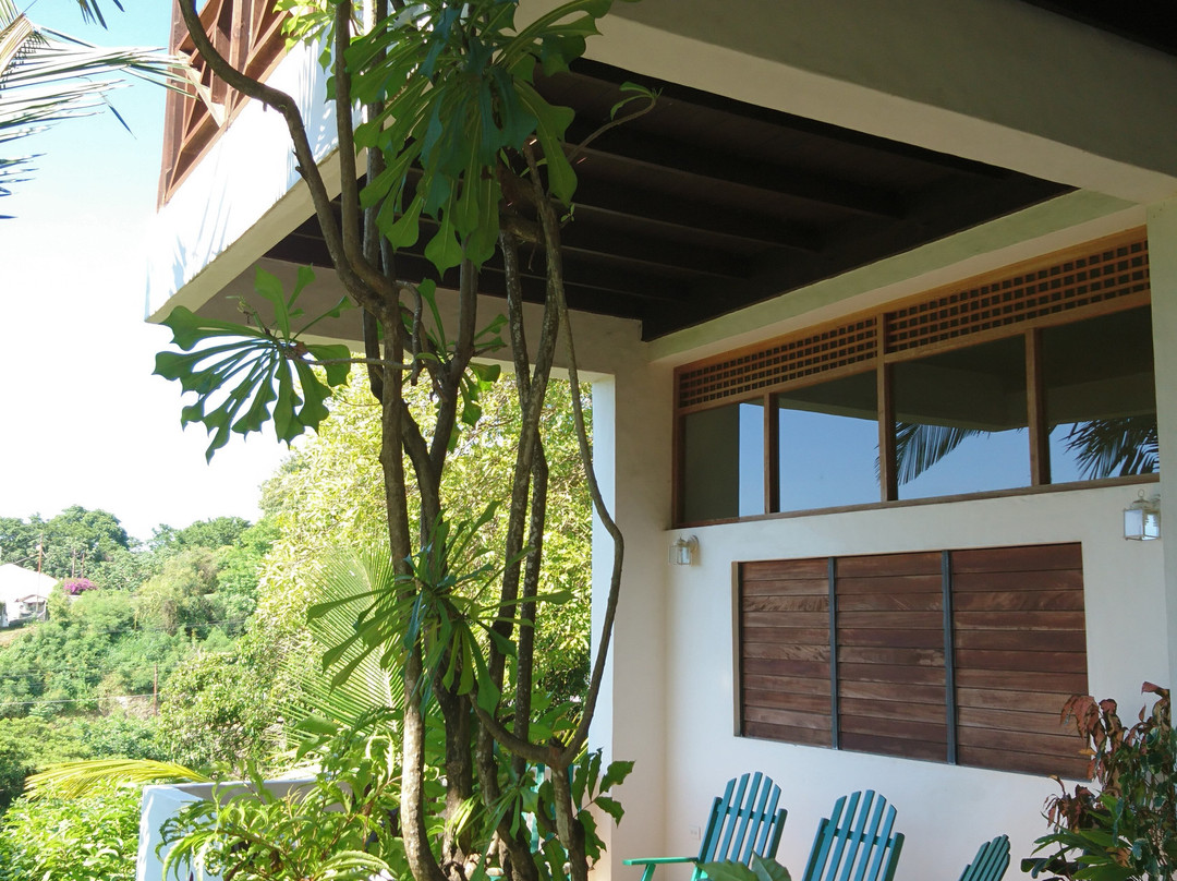 The Nest Tobago Apartments主图