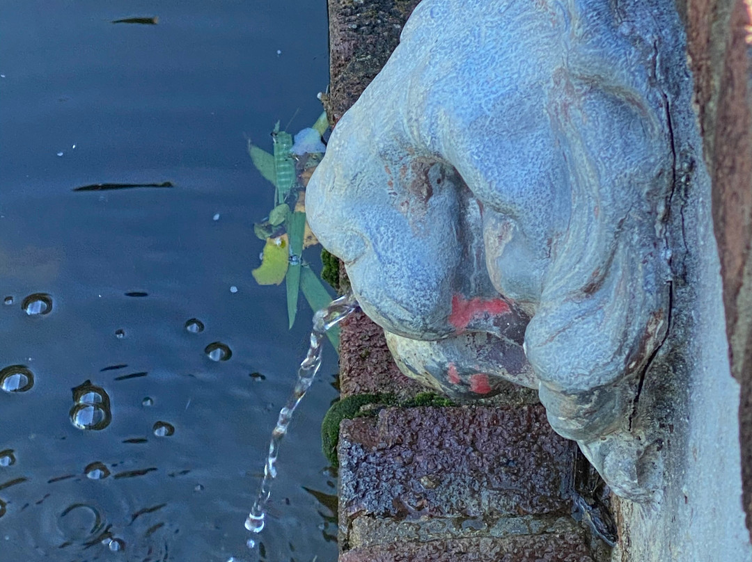 Reynolda gardens景点图片