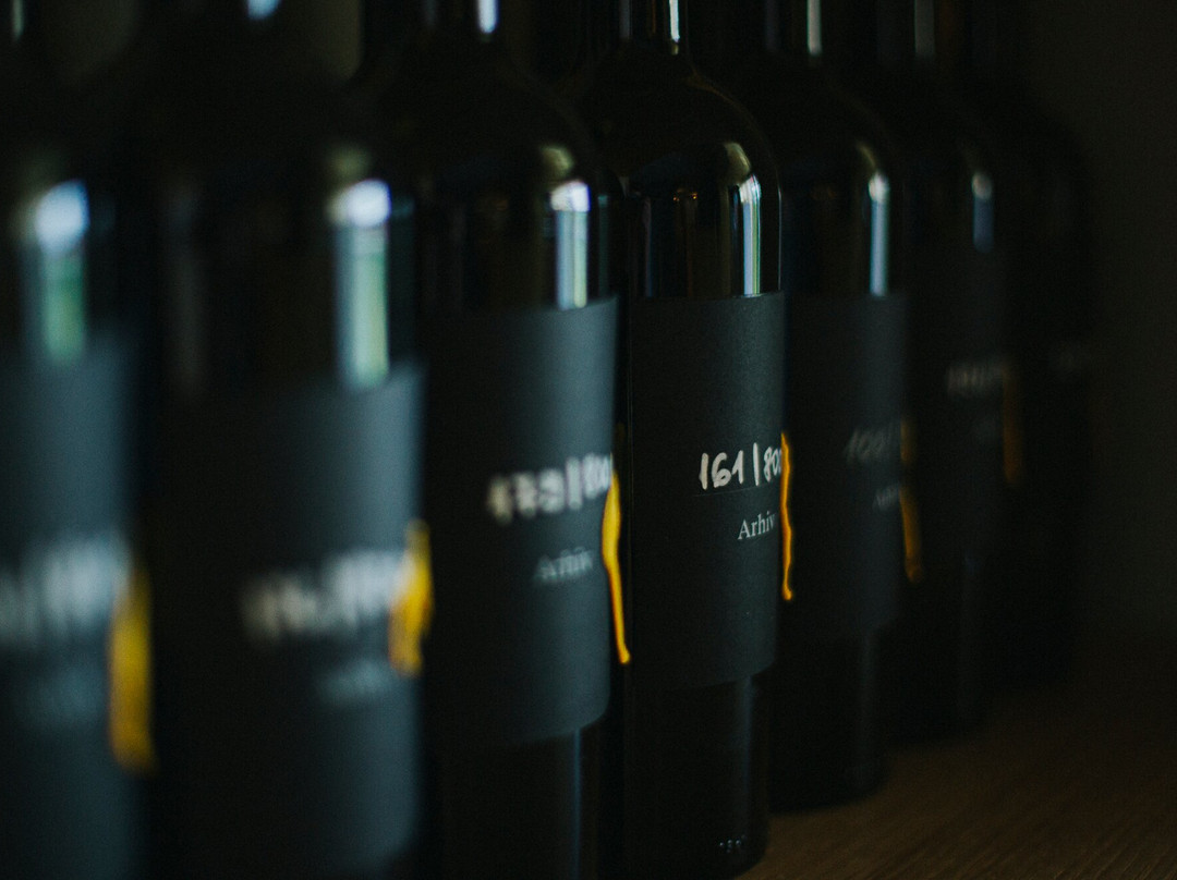 Vk Winery & Gallery景点图片