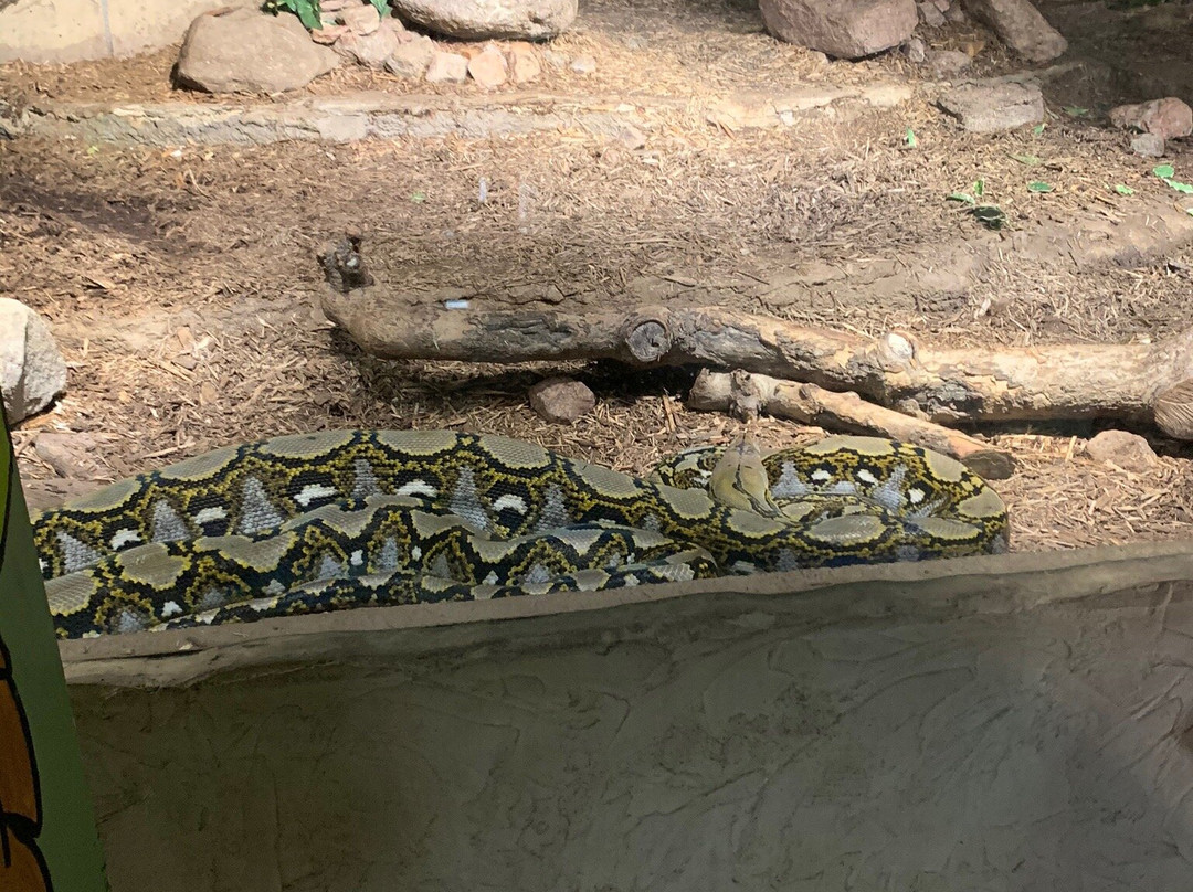 Reptilia Zoo and Education Centre Vaughan景点图片