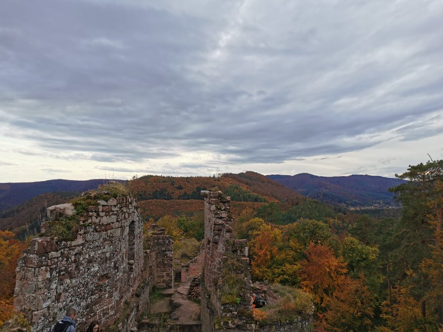 Château du Schœneck景点图片