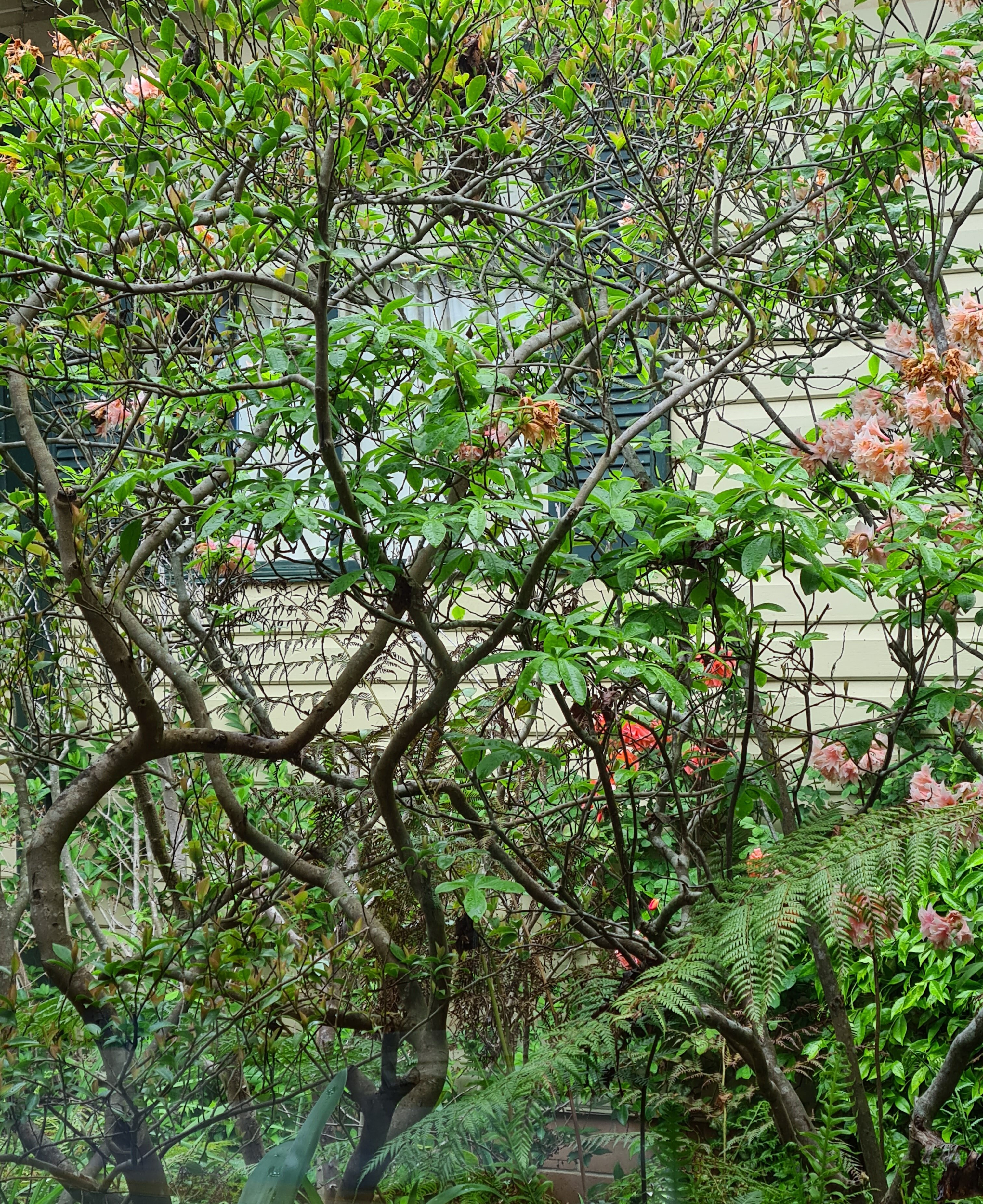 雷拉豪斯酒店-portrait