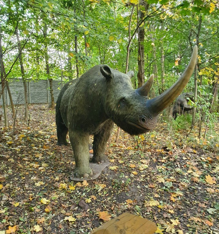 Park Dinozaurow景点图片